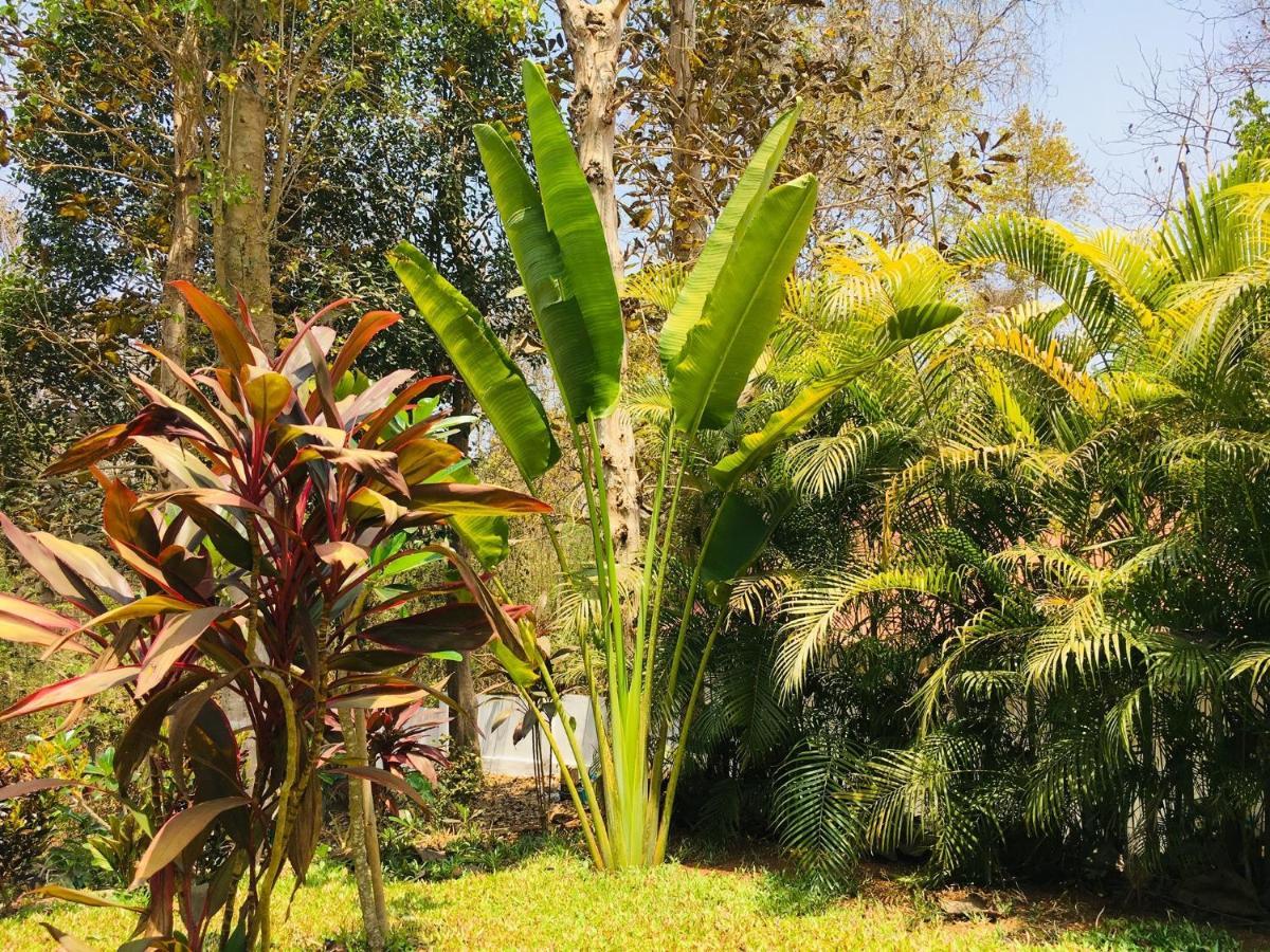 The Island Pool Villa Panaji Exterior foto